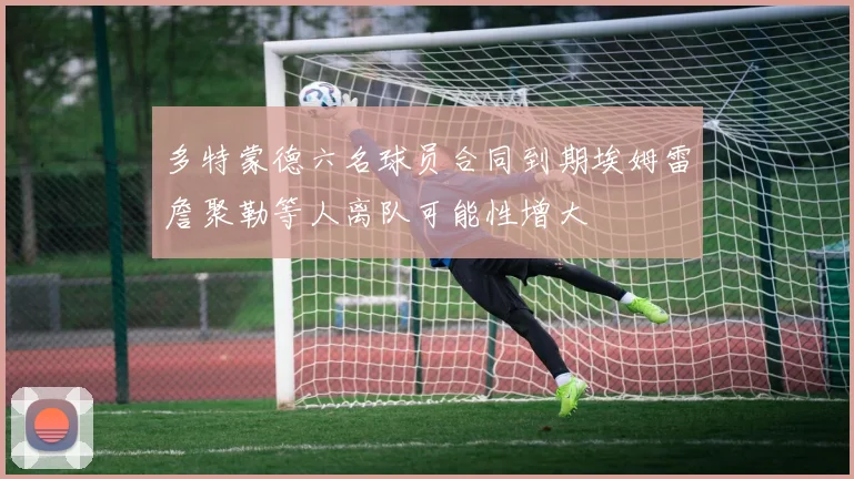 多特蒙德六名球员合同到期埃姆雷詹聚勒等人离队可能性增大