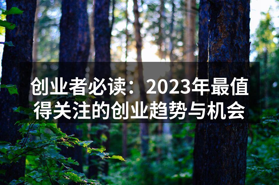 数字化转型助力创业者成功